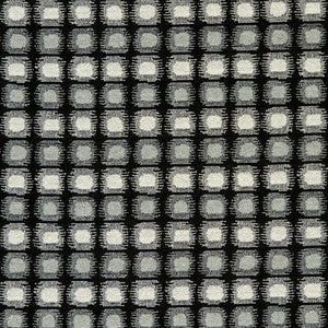 CB800-123 by Charlotte Fabric
