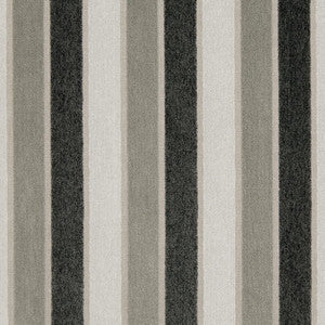 CB800-136 by Charlotte Fabric