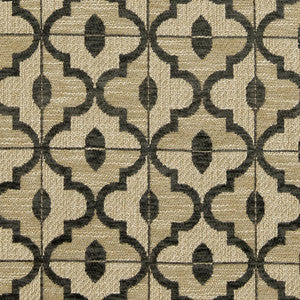 CB800-152 by Charlotte Fabric