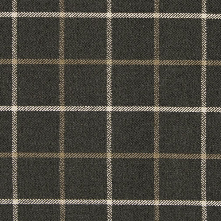 CB800-165 by Charlotte Designer Fabric Shades of Graphite 64% Cotton, 32% Viscose, 4% Polyester Asia Exceeds 60,000 Wyzenbeek Rubs (Heavy Duty) </p><p>Repeat: Horizontal: 5" x Vertical: 5" 54 Inches - Swanky Fabrics -
