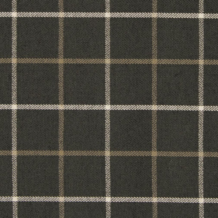 CB800-165 by Charlotte Fabric Shades of Graphite 64% Cotton, 32% Viscose, 4% Polyester Asia Exceeds 60,000 Wyzenbeek Rubs (Heavy Duty) Horizontal 5" x Vertical 5" 54 Inches - Fabric Carolina -