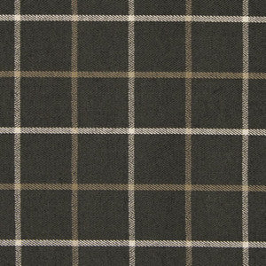 CB800-165 by Charlotte Fabric