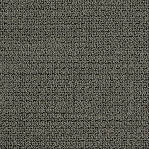 CB800-170 by Charlotte Fabric