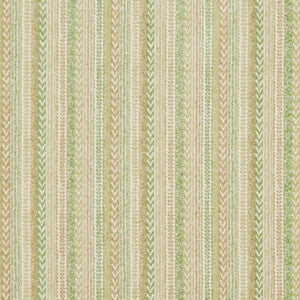 CB800-173 by Charlotte Fabric
