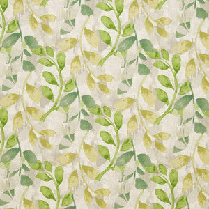 CB800-174 by Charlotte Fabric