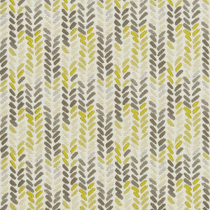 CB800-178 by Charlotte Fabric
