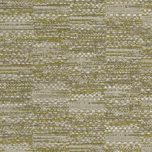 CB800-183 by Charlotte Fabric