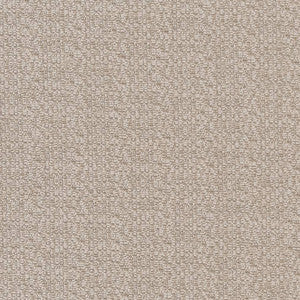 CB800-208 by Charlotte Fabric