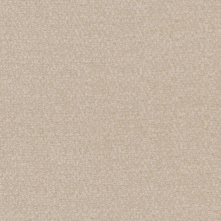 CB800-209 by Charlotte Fabric Shades of Neutral 100% Woven Polyester China Exceeds 60,000 Wyzenbeek Rubs (Heavy Duty) No Repeat 54 Inches - Fabric Carolina -