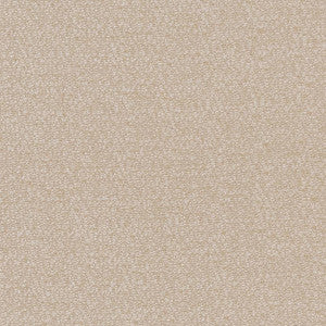 CB800-209 by Charlotte Fabric