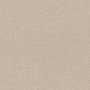 CB800-209 by Charlotte Fabric