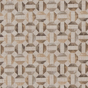 CB800-211 by Charlotte Fabric