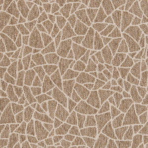 CB800-218 by Charlotte Fabric