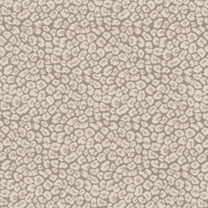 CB800-220 by Charlotte Fabric Shades of Neutral 52% Rayon, 26% Polyester, 22% Cotton China Exceeds 30,000 Wyzenbeek Rubs (Heavy Duty) No Repeat 54 Inches - Fabric Carolina -