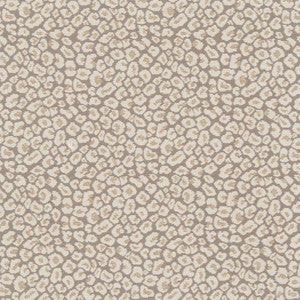 CB800-220 by Charlotte Fabric