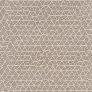 CB800-227 by Charlotte Fabric