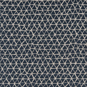 CB800-228 by Charlotte Fabric