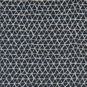 CB800-228 by Charlotte Fabric