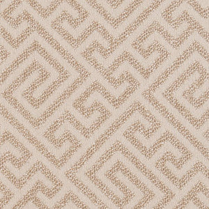 CB800-229 by Charlotte Fabric
