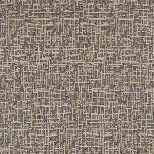 CB800-253 by Charlotte Fabric