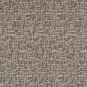 CB800-253 by Charlotte Fabric