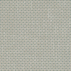 CB800-258 by Charlotte Fabric