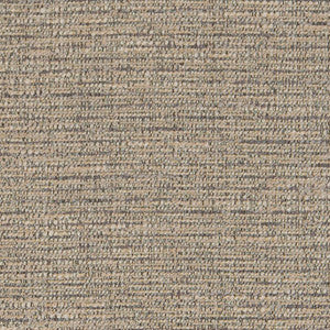 CB800-261 by Charlotte Fabric