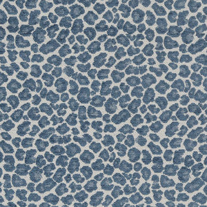 CB800-262 by Charlotte Fabric