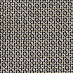 CB800-264 by Charlotte Fabric