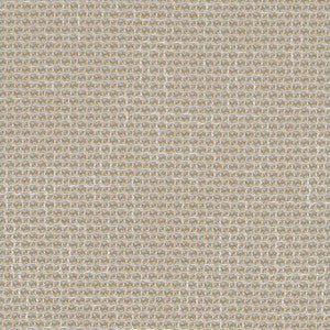 CB800-268 by Charlotte Fabric