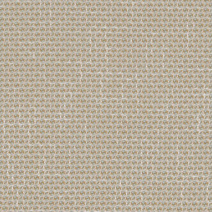CB800-268 by Charlotte Fabric