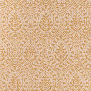 CB800-281 by Charlotte Fabric
