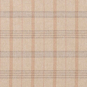 CB800-328 by Charlotte Fabric