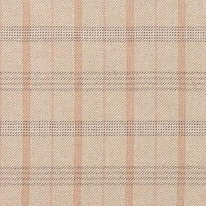 CB800-328 by Charlotte Fabric