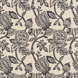 CB800-355 by Charlotte Fabric
