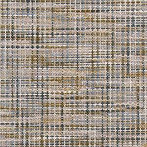 CB800-363 by Charlotte Fabric
