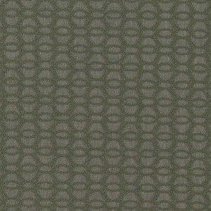 CB800-366 by Charlotte Fabric