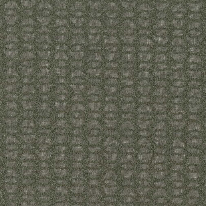 CB800-366 by Charlotte Fabric Shades of Emerald 79% Polyester, 21% Cotton India Exceeds 120,000 Wyzenbeek Rubs </p><p>Repeat: Horizontal 1.75" x Vertical 1.75" 54 Inches - Fabric Carolina -