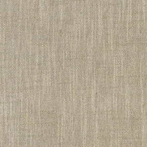 CB800-374 by Charlotte Fabric