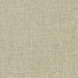 CB800-375 by Charlotte Fabric