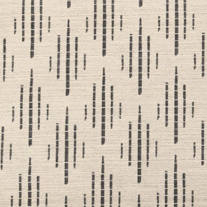 CB800-397 by Charlotte Fabric