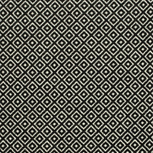 CB800-424 by Charlotte Fabric
