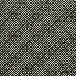 CB800-424 by Charlotte Fabric