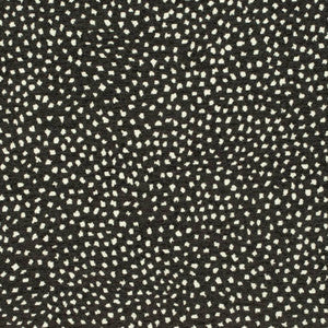 CB800-432 by Charlotte Fabric