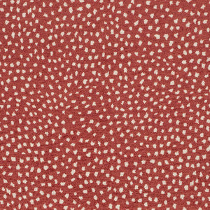 CB800-433 by Charlotte Fabric