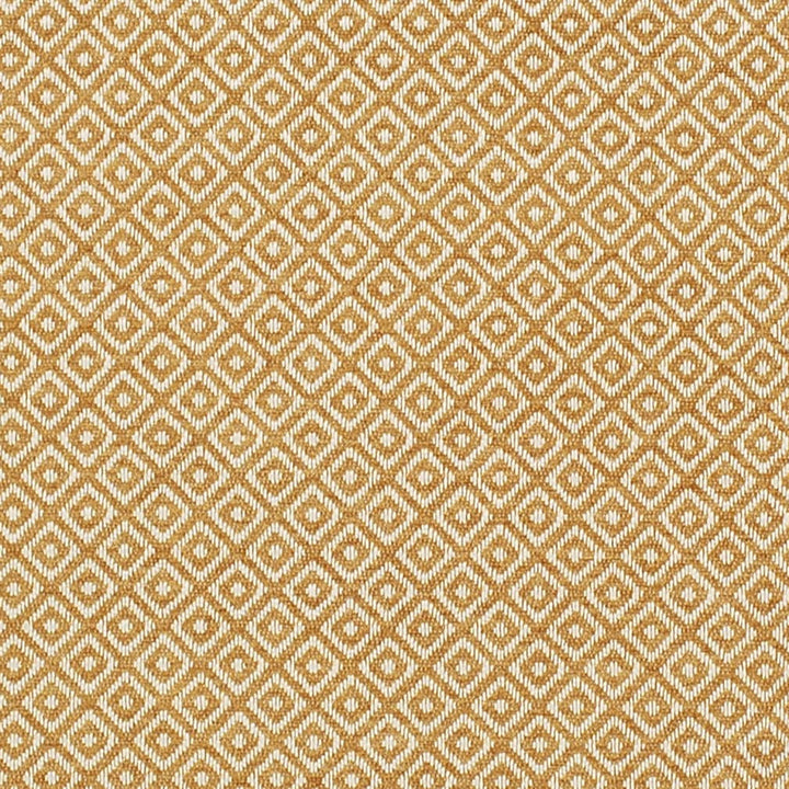CB800-442 by Charlotte Fabric Shades of Honey 100% Polyester Asia Exceeds 60,000 Wyzenbeek Rubs (Heavy Duty) Horizontal 1" x Vertical 1" 54 Inches - Fabric Carolina -