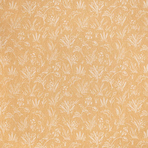CB800-451 by Charlotte Fabric