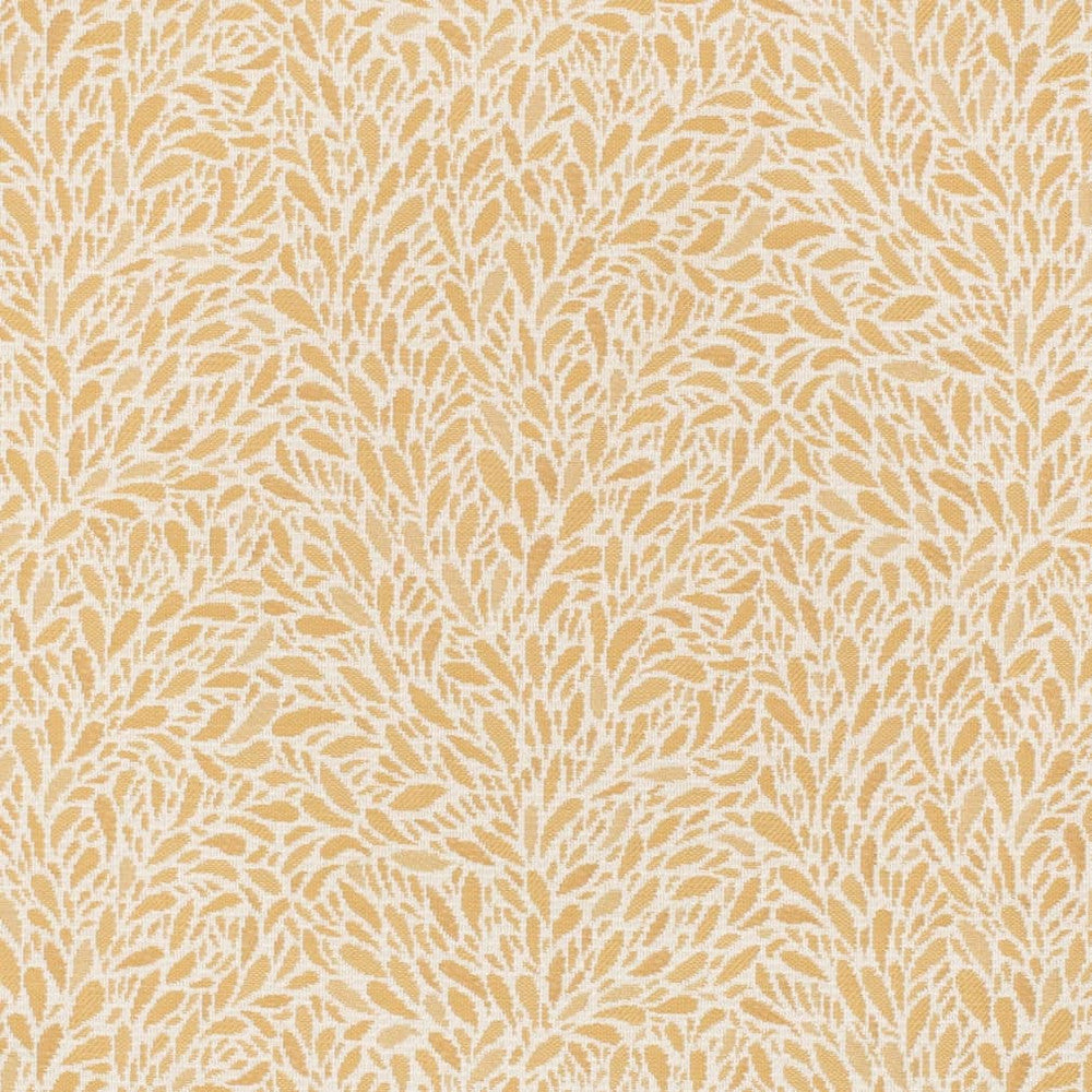 CB800-452 by Charlotte Designer Fabric Shades of Honey 100% Polyester Asia Exceeds 162,000 Wyzenbeek Rubs (Heavy Duty) Horizontal 14.5" x Vertical 13.5" 54 Inches - Swanky Fabrics -