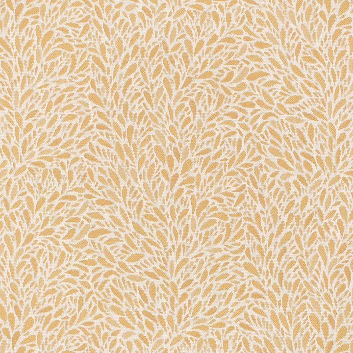 CB800-452 by Charlotte Designer Fabric Shades of Honey 100% Polyester Asia Exceeds 162,000 Wyzenbeek Rubs (Heavy Duty) Horizontal 14.5" x Vertical 13.5" 54 Inches - Swanky Fabrics -