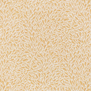 CB800-452 by Charlotte Fabric